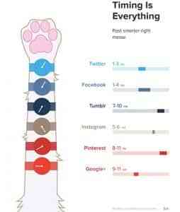 el tiempo lo es todo en redes sociales