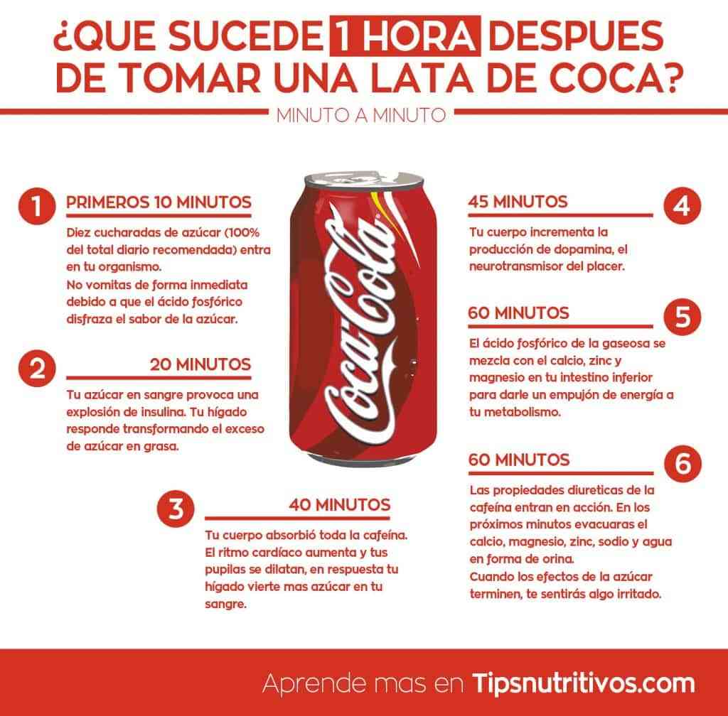 ¿Que sucede 1 hora después de tomar una lata de coca cola? Infografías